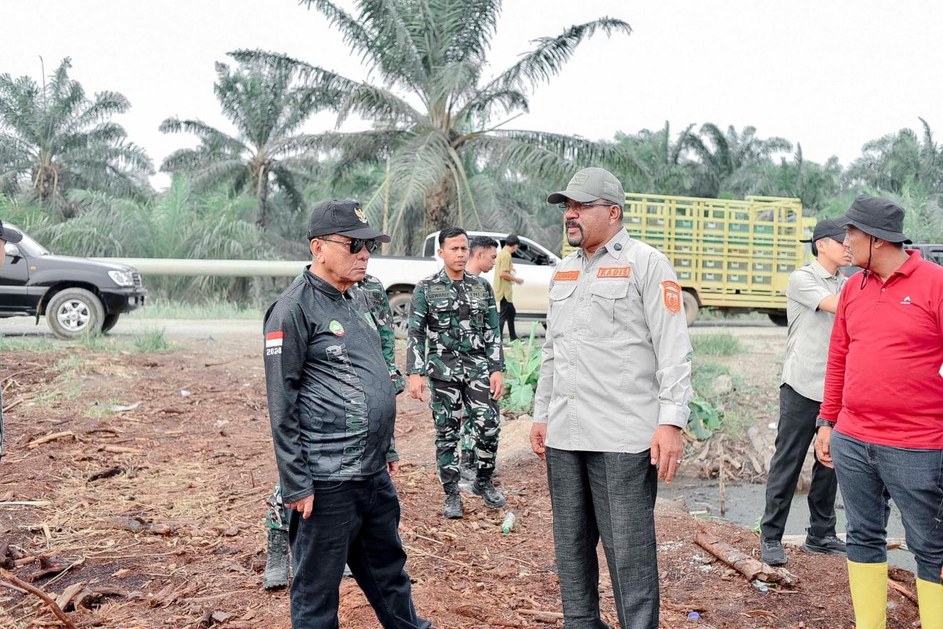 Bupati Rohil H. Bistamam Tinjau Langsung Lokasi Karhutla Di Kecamatan Kubu